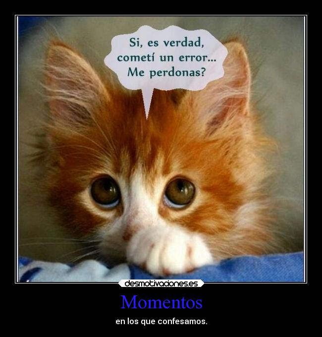 Momentos - en los que confesamos.