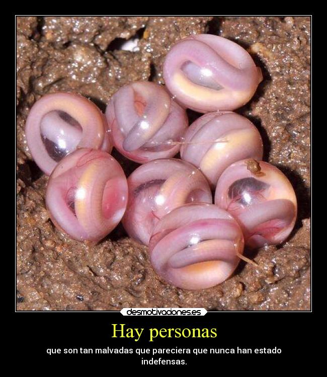 Hay personas - que son tan malvadas que pareciera que nunca han estado
indefensas.