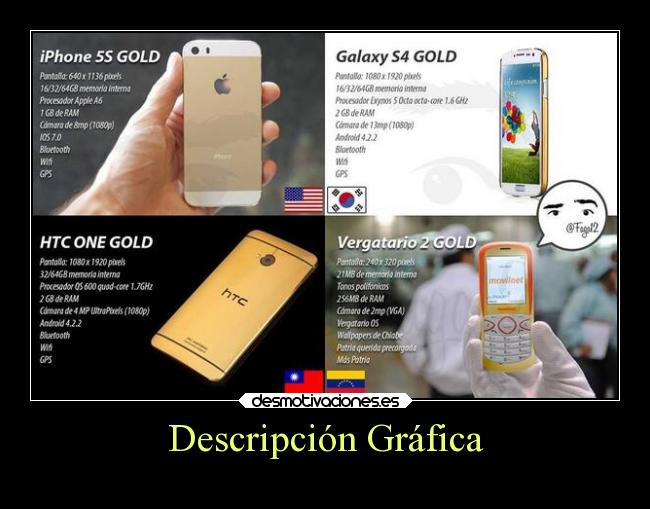 Descripción Gráfica -