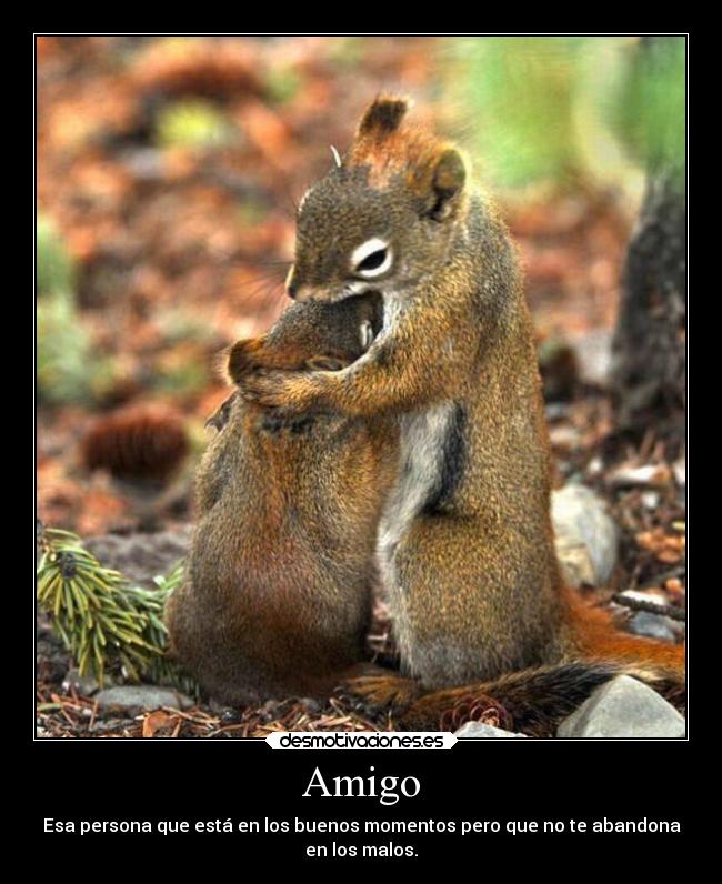 Amigo -