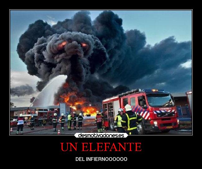 UN ELEFANTE - DEL INFIERNOOOOOO