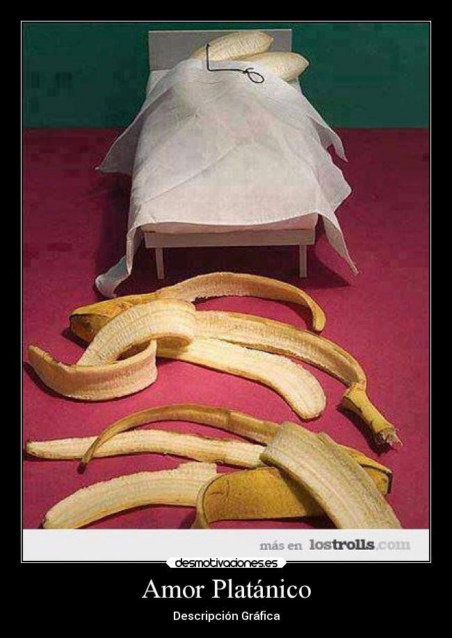 carteles amor humor desmotivaciones