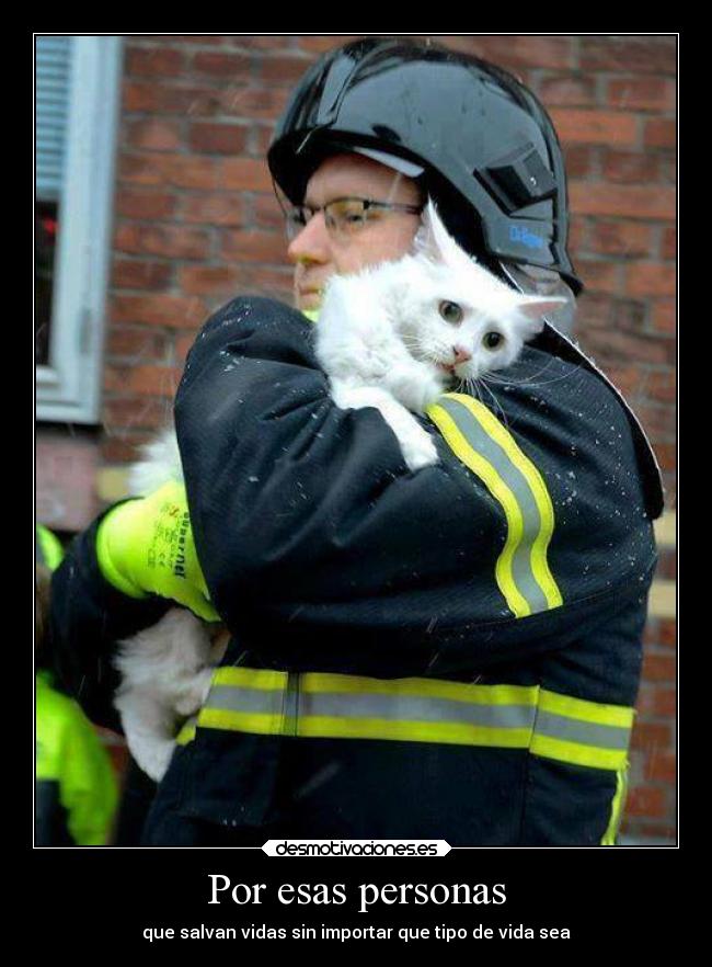 carteles vida desmotivaciones