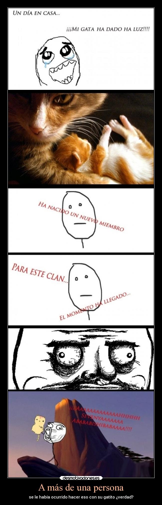 carteles devilbrigade memes gusta trollol rey leon gatos gatitos lindos animales deseos desmotivaciones