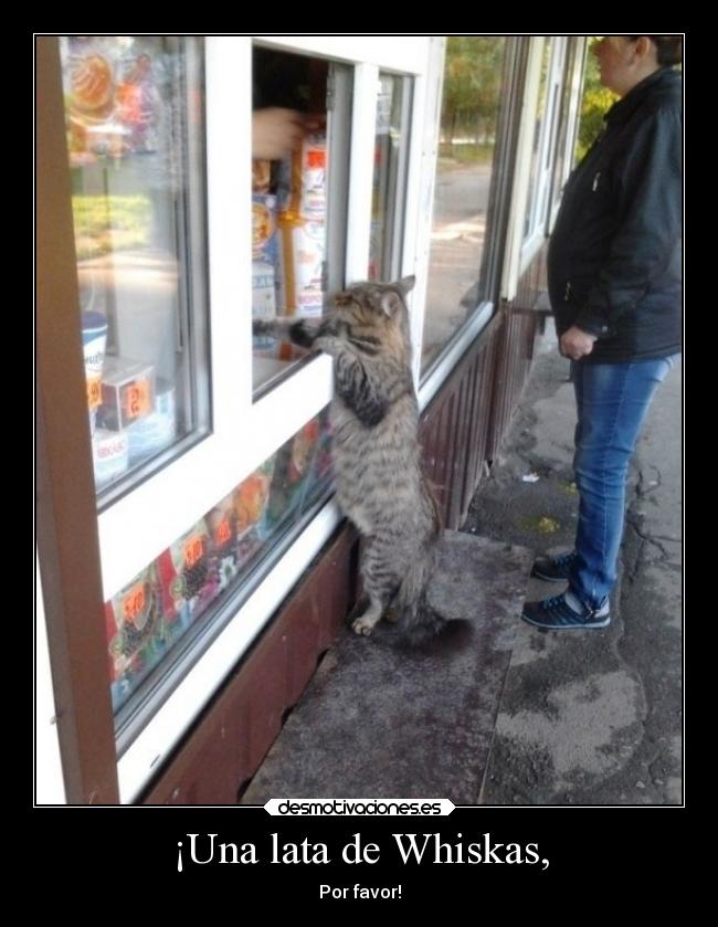 ¡Una lata de Whiskas, - Por favor!
