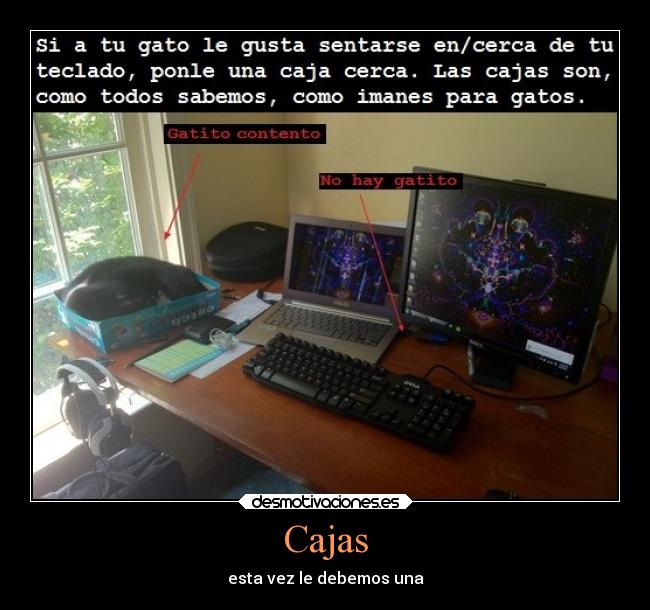 Cajas -