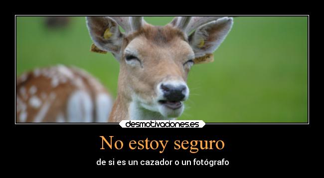 No estoy seguro -