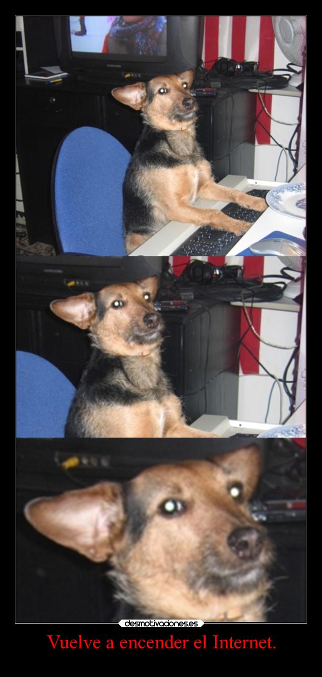 carteles internet humor internet desmotivaciones