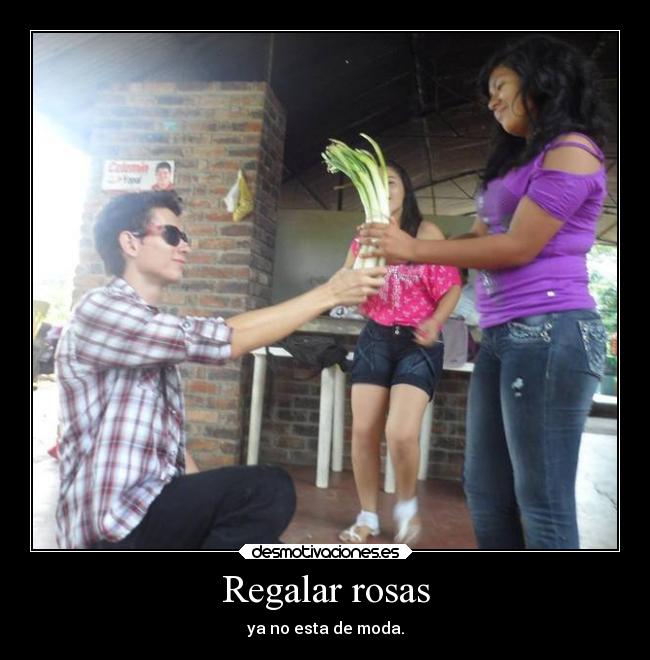 Regalar rosas - ya no esta de moda.