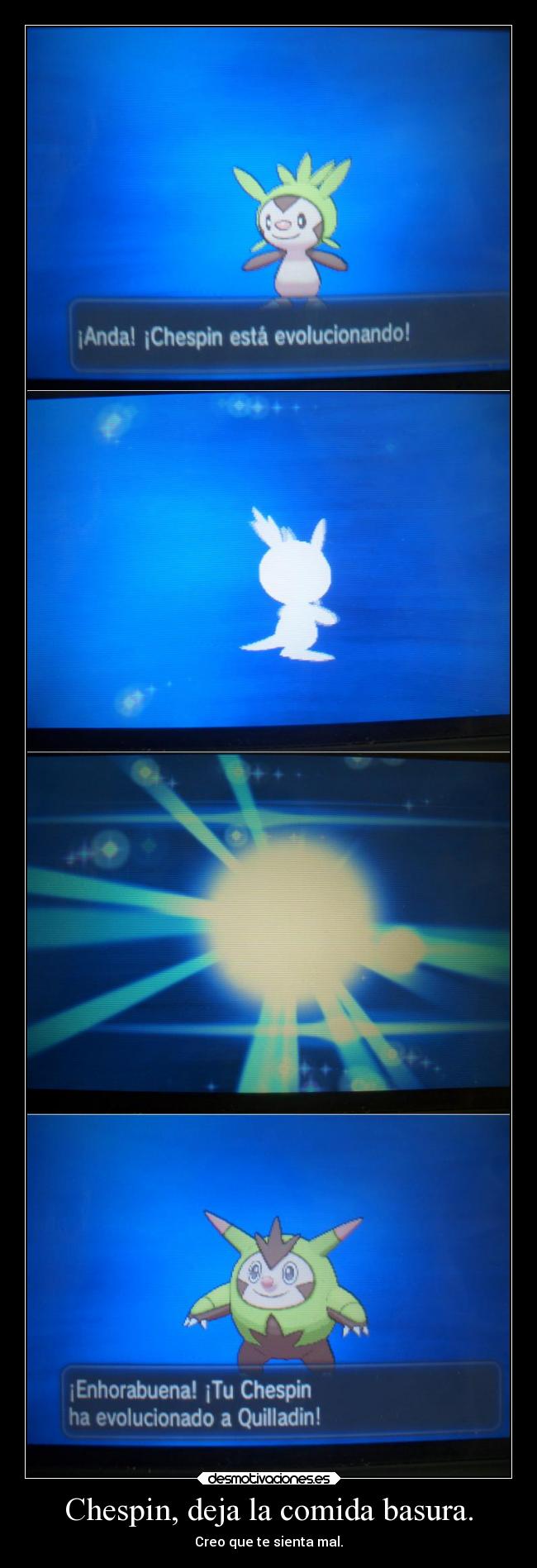 Chespin, deja la comida basura. -