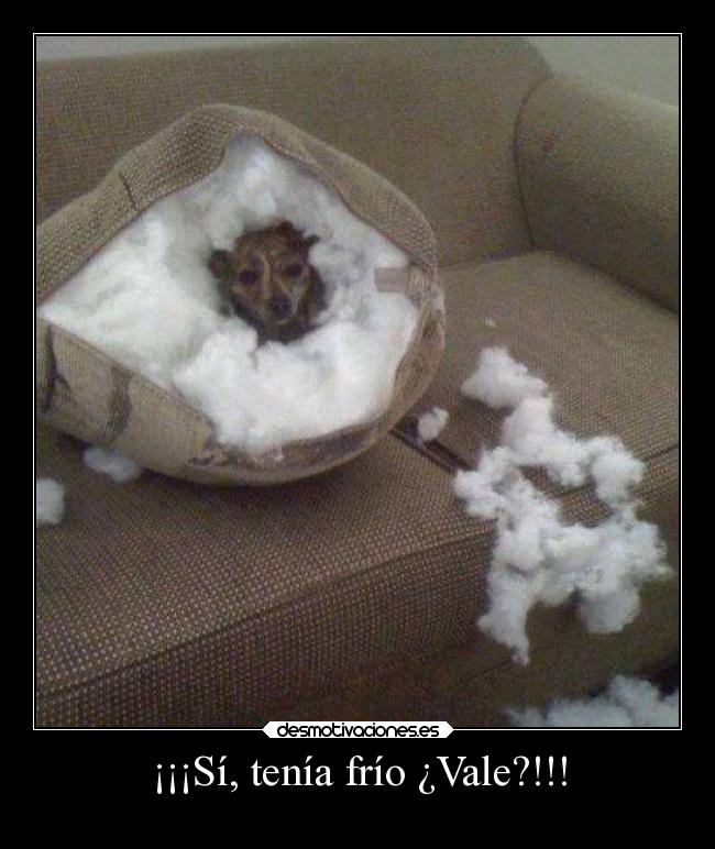 ¡¡¡Sí, tenía frío ¿Vale?!!! -