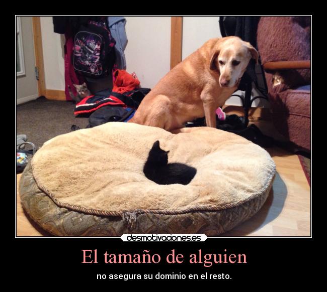 El tamaño de alguien -