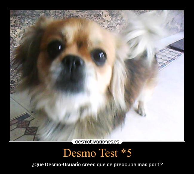 carteles amistad carino confianza desmo locanata95 desmotivaciones