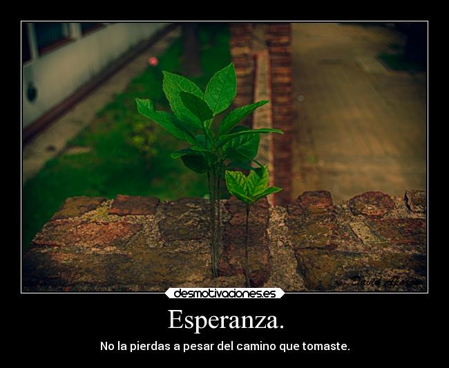 Esperanza. - No la pierdas a pesar del camino que tomaste.
