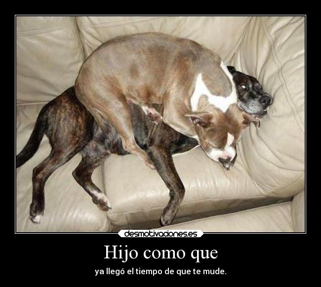 Hijo como que - ya llegó el tiempo de que te mude.