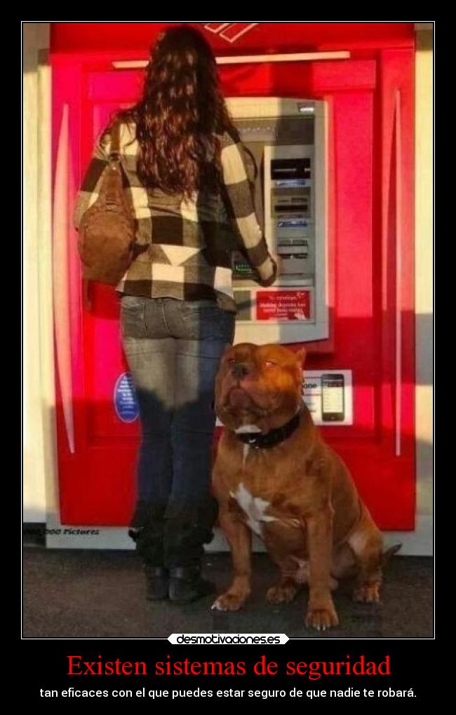 Existen sistemas de seguridad -