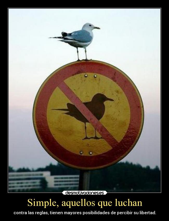 Simple, aquellos que luchan - contra las reglas, tienen mayores posibilidades de percibir su libertad.