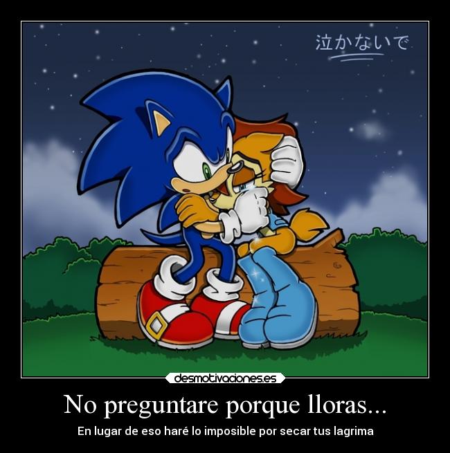 carteles sally acorn sonic sonally amor desmotivaciones