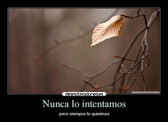 Nunca lo intentamos - 