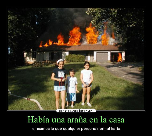 Había una araña en la casa - 