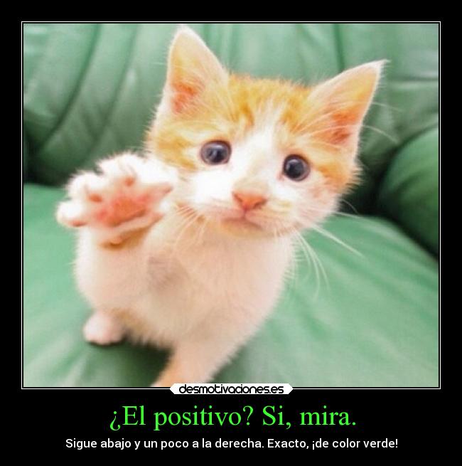 ¿El positivo? Si, mira. - 