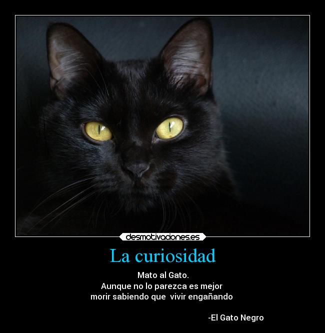 La curiosidad - 