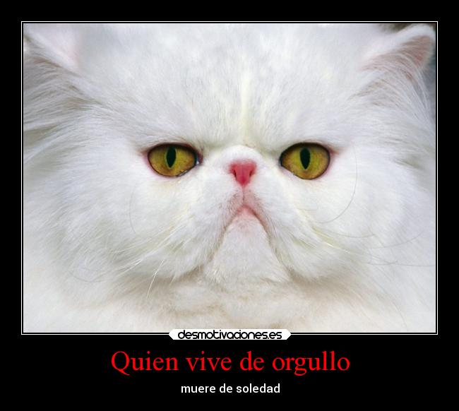 Quien vive de orgullo -