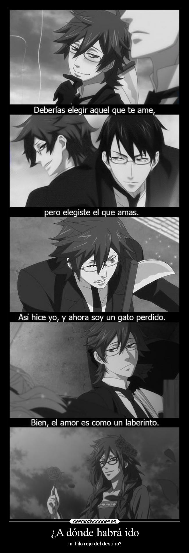 ¿A dónde habrá ido -