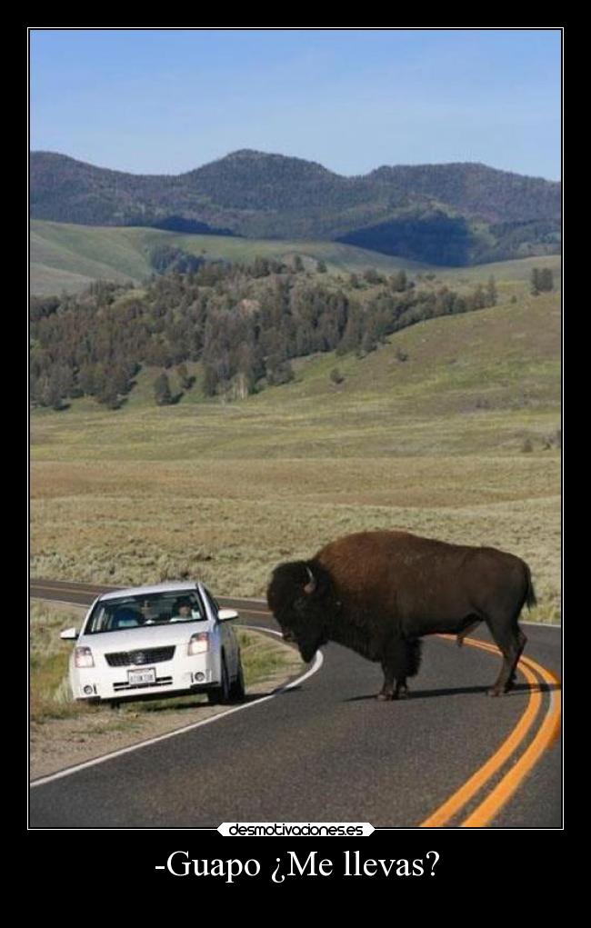 -Guapo ¿Me llevas? -