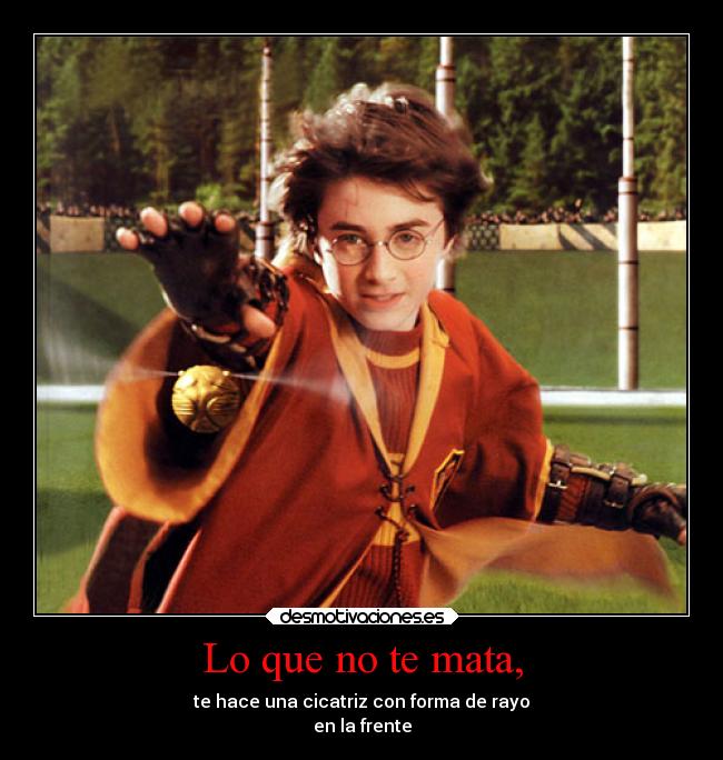 carteles desmotivaciones desmotivaciones