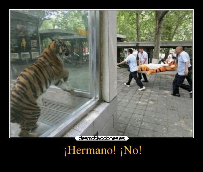 ¡Hermano! ¡No! -