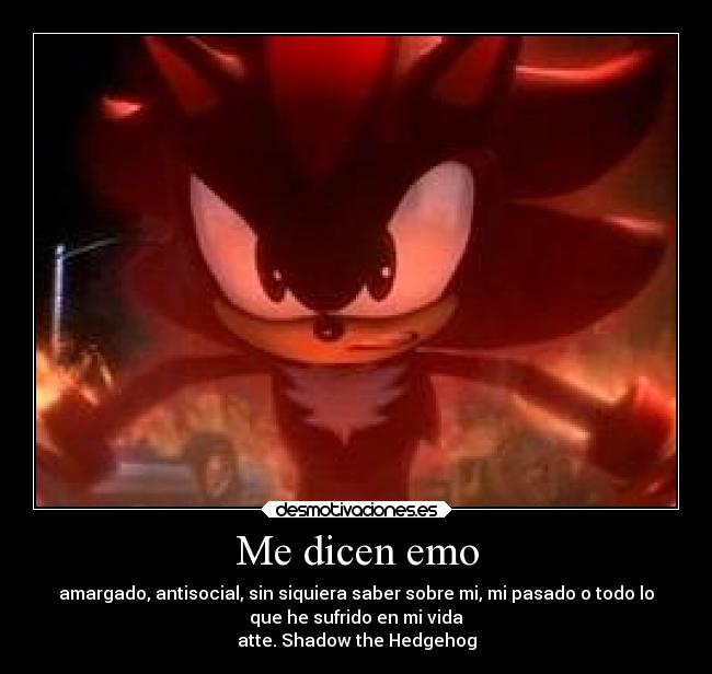 Me dicen emo - amargado, antisocial, sin siquiera saber sobre mi, mi pasado o todo lo
que he sufrido en mi vida
atte. Shadow the Hedgehog