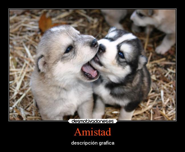 Amistad - descripción grafica