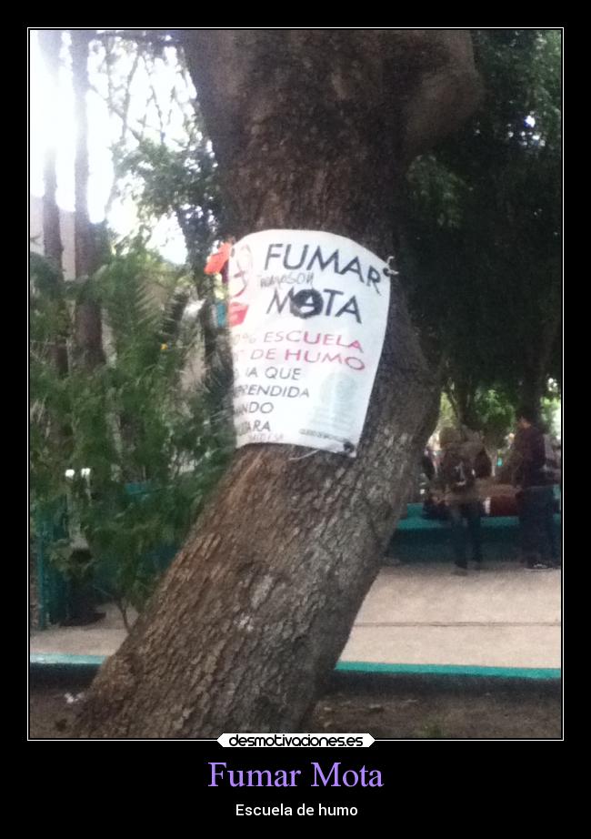 Fumar Mota - 