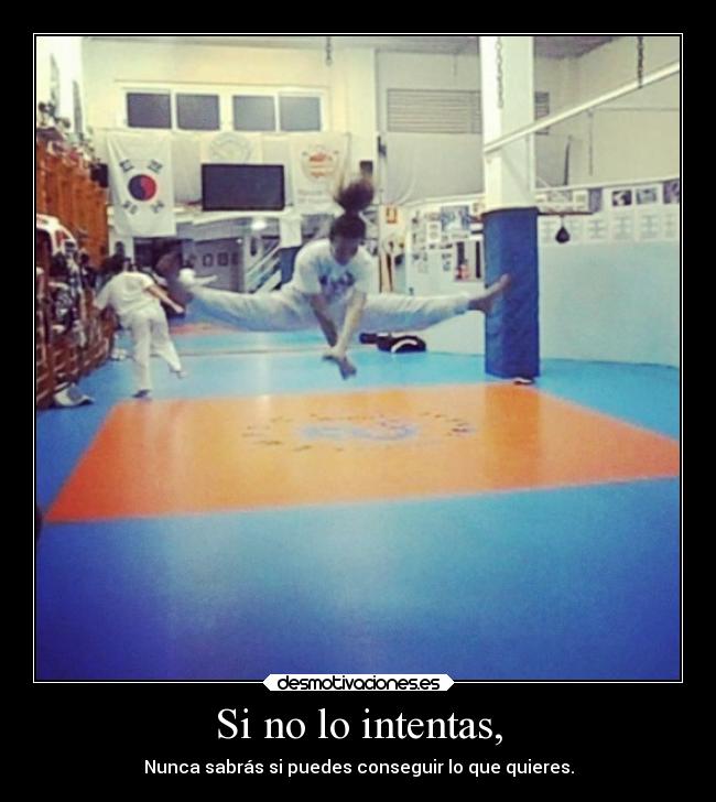 Si no lo intentas, - Nunca sabrás si puedes conseguir lo que quieres.