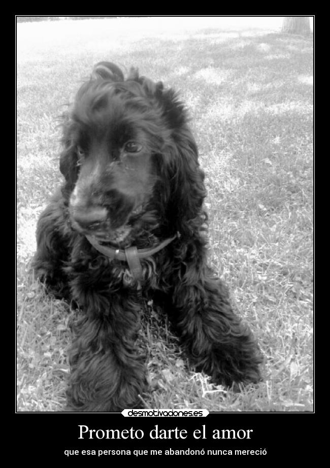 Prometo darte el amor - que esa persona que me abandonó nunca mereció