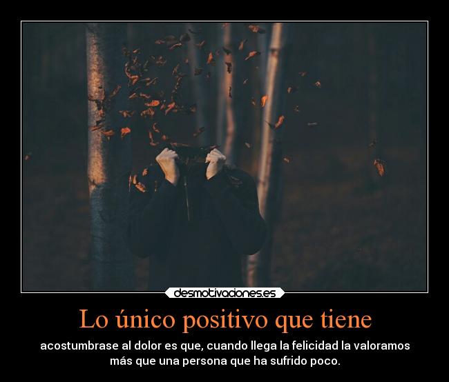 Lo único positivo que tiene - 