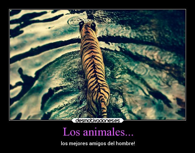 Los animales... - los mejores amigos del hombre!