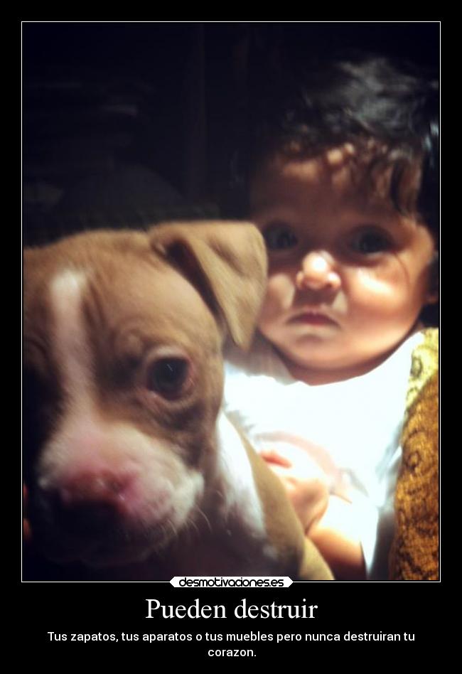 Pueden destruir -