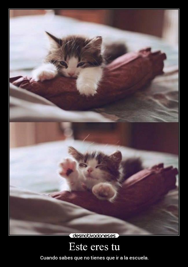 Este eres tu - Cuando sabes que no tienes que ir a la escuela.