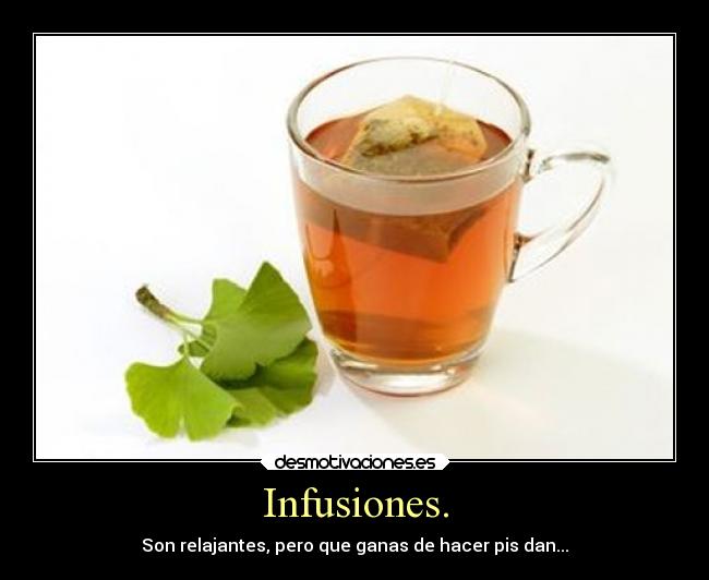 carteles humor infusiones que dan ganas hacer pis desmotivaciones