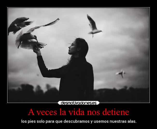 A veces la vida nos detiene - los pies solo para que descubramos y usemos nuestras alas.