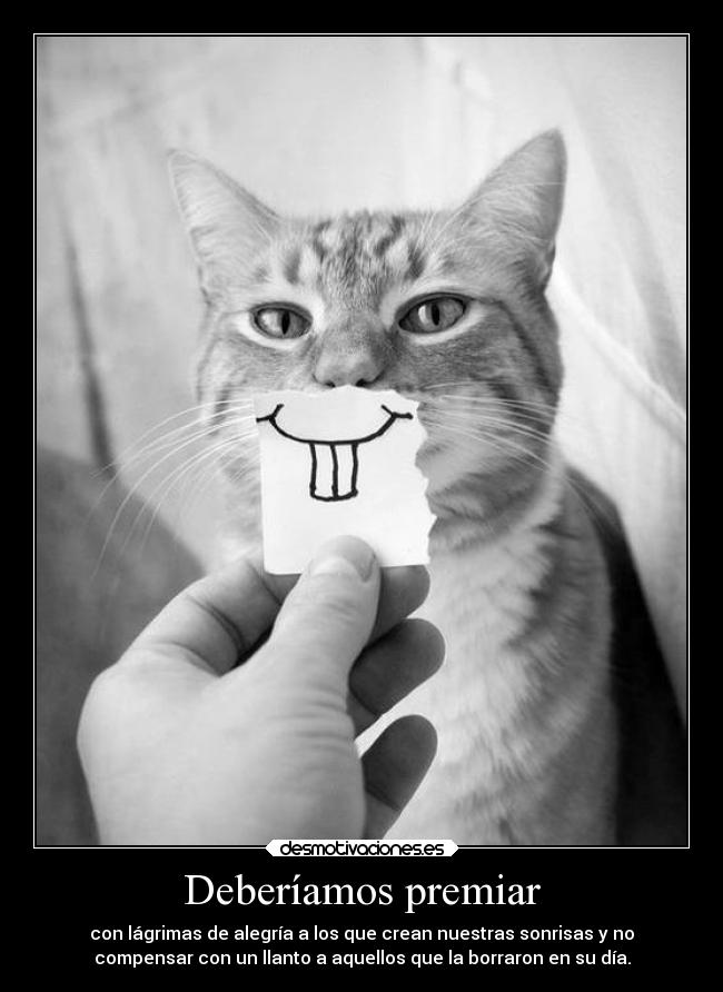 carteles telyg ejercitodemar yahoramevuelvopokehipster buscolaexcepcionnolaregla lamagiaexiste22 amy fujoshis desmotivaciones