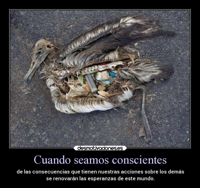 Cuando seamos conscientes -