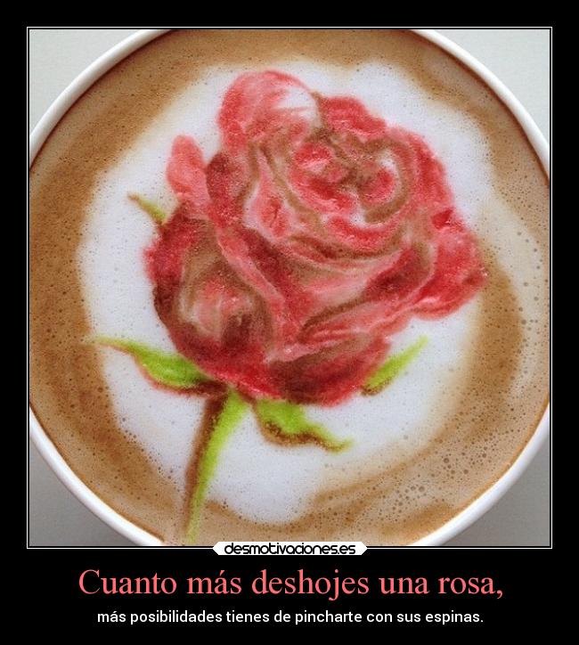 Cuanto más deshojes una rosa, - 