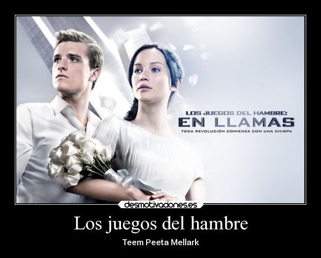 carteles amor desmotivaciones