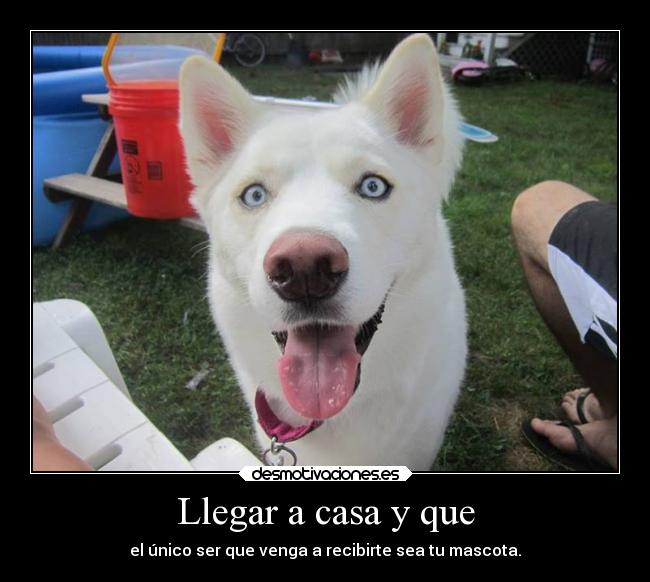 carteles casa breathe breathe breathe breathe breathe breathe breathe breathe breathe breathe atojsoacillobsknaht desmotivaciones