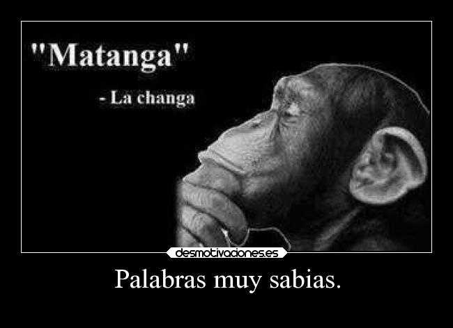 Palabras muy sabias. - 