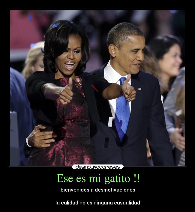 Ese es mi gatito !! -