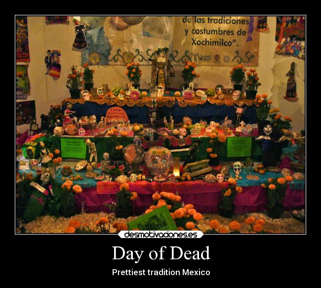 carteles fiesta desmotivaciones